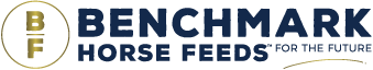 Benchmark logo